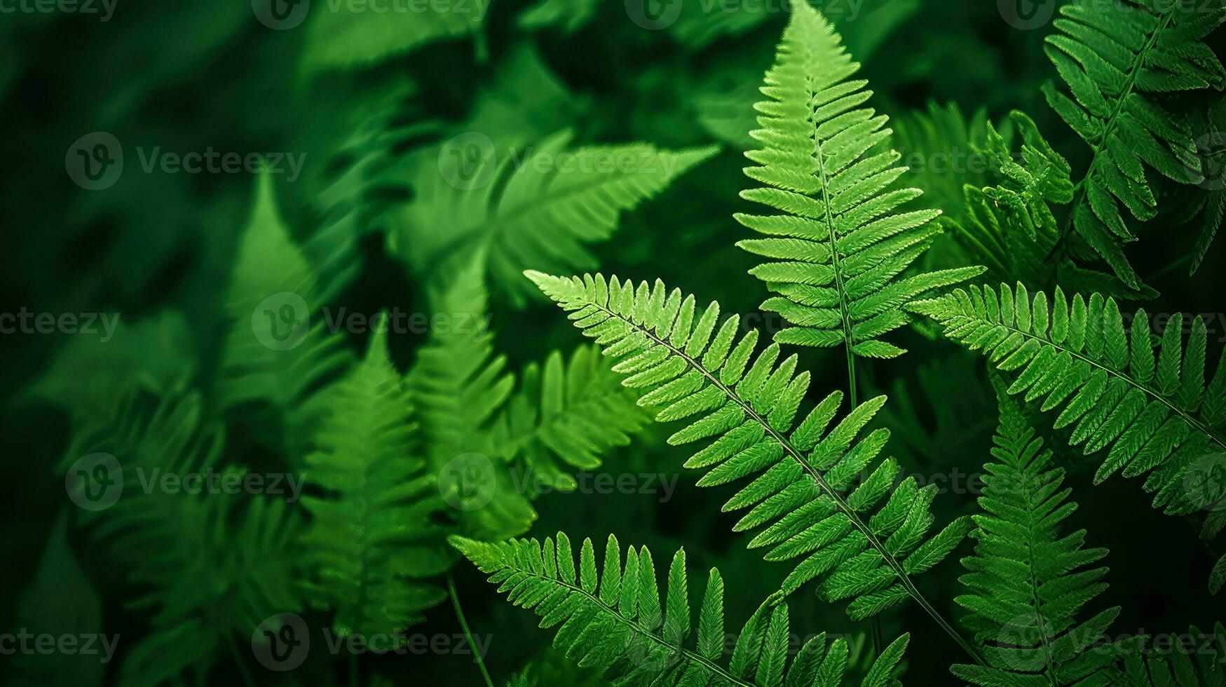 verde helecho fondo de pantalla un natural y botánico diseño con un plumoso textura y un borroso antecedentes ai generativo foto