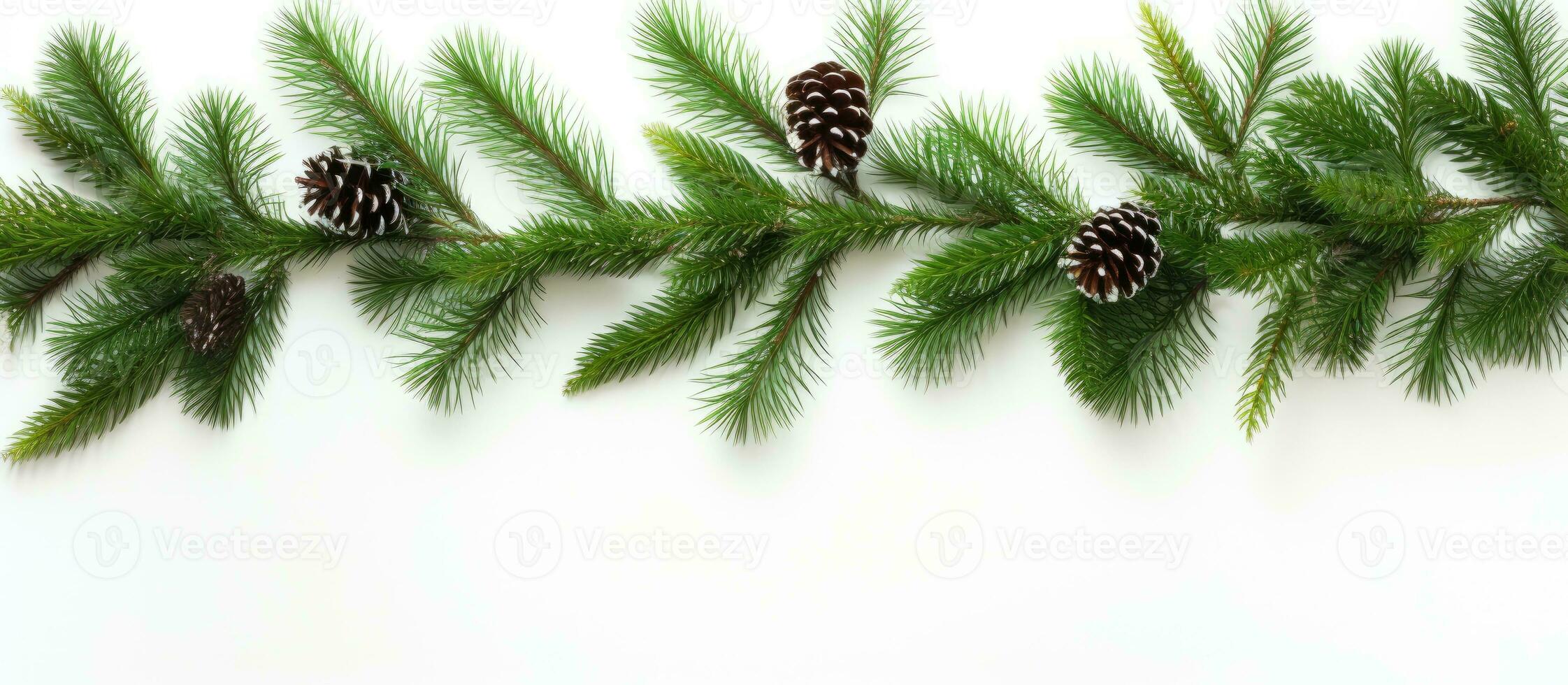 Conifer branches used to create a Christmas decoration White background top view photo