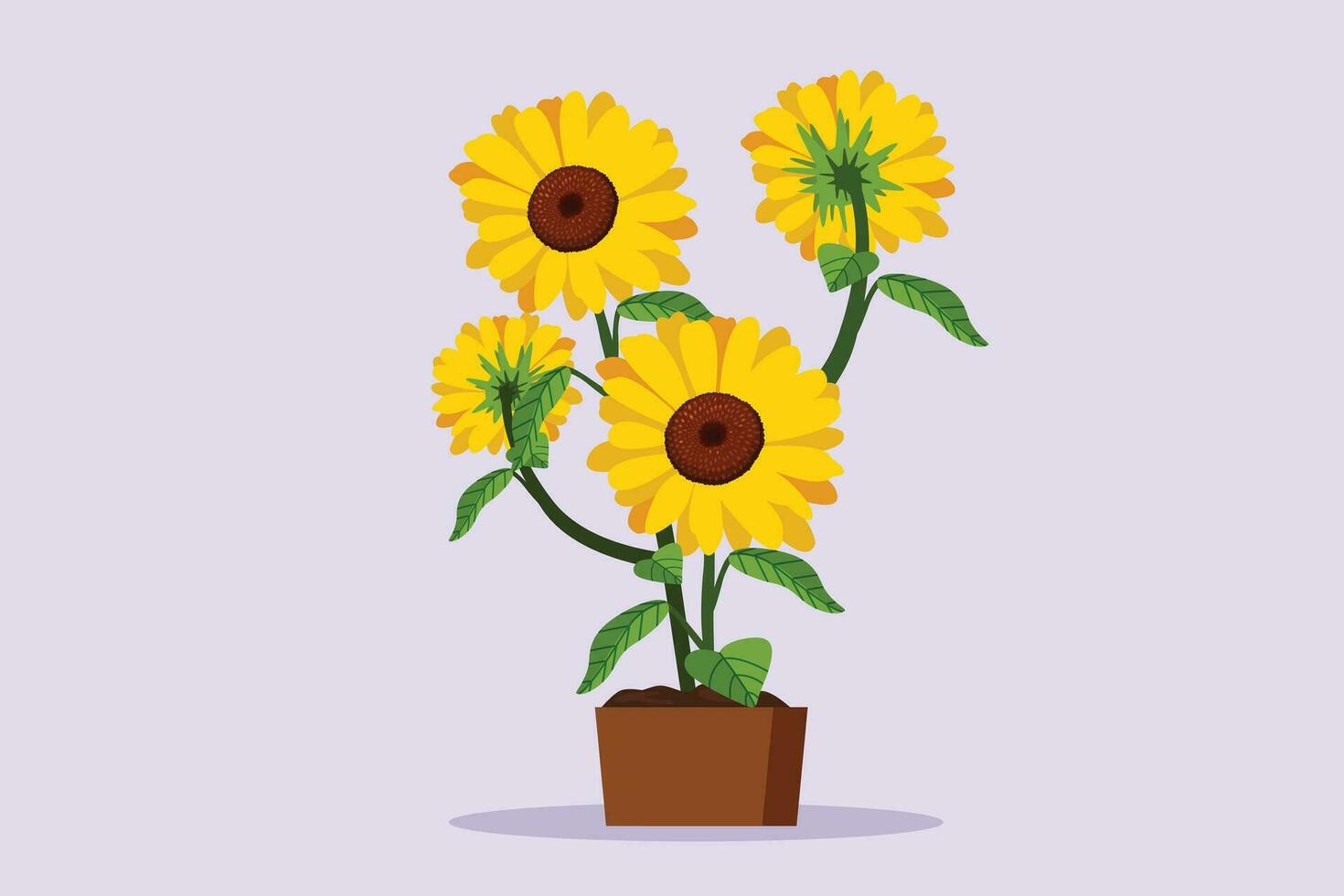 Sunflower and floral frame concept. Colored flat vector illustration isolated.