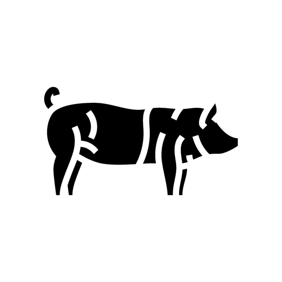 hampshire pig breed glyph icon vector illustration