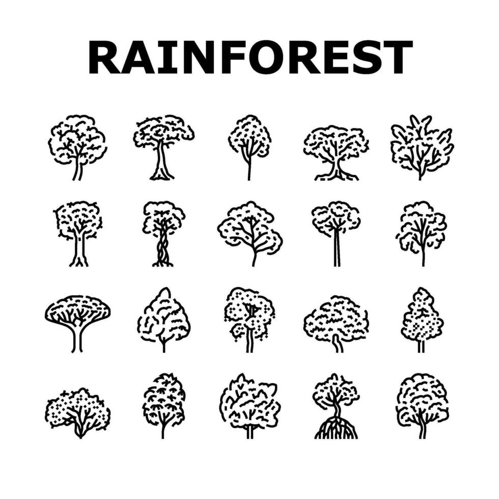 rainforest jungle amazon nature icons set vector