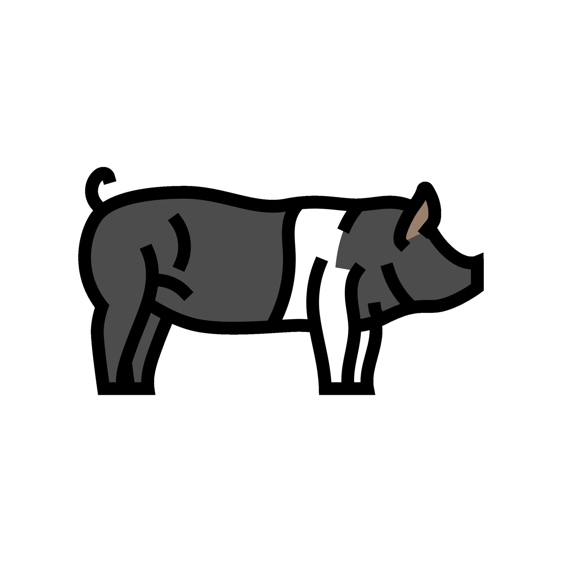 Sustainable Farming'S Secret: The Amazing Hampshire Pig - vd97dad