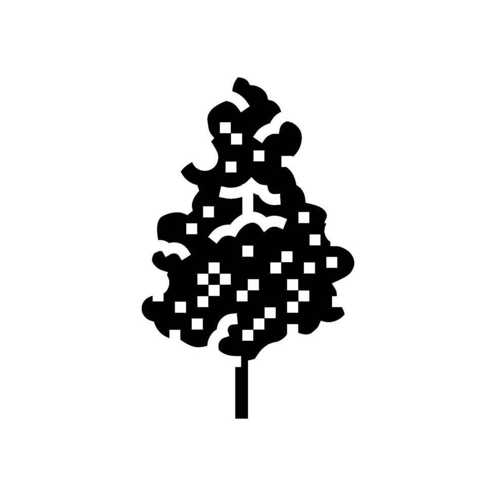 gingko biloba selva Amazonas glifo icono vector ilustración