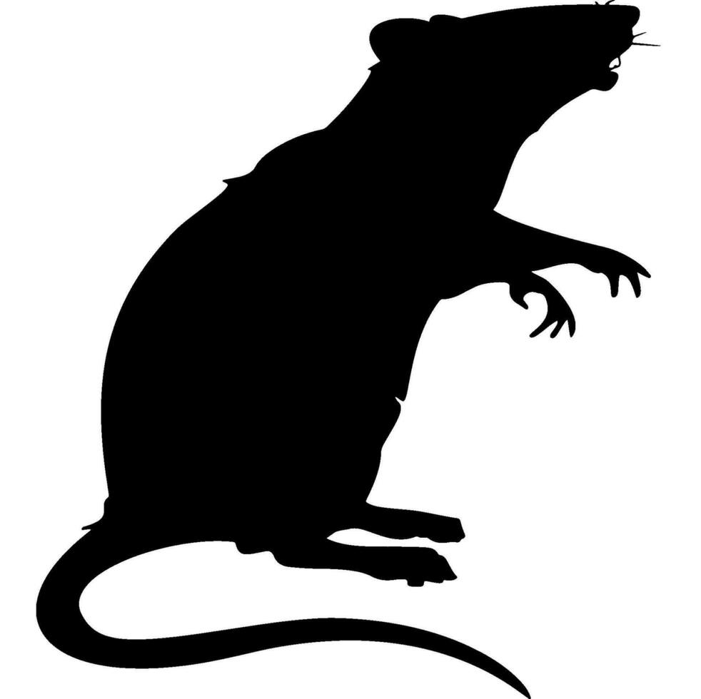 Rat silhouette vector