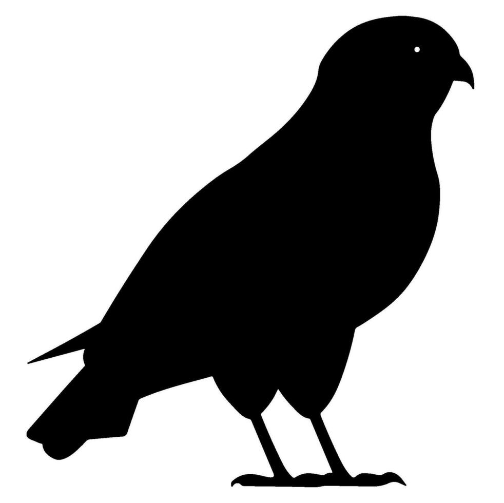 Falcon silhouette vector