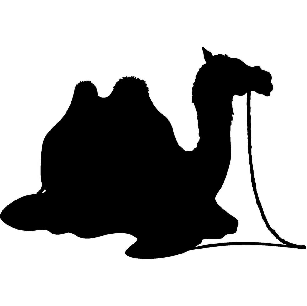 camello silueta vector