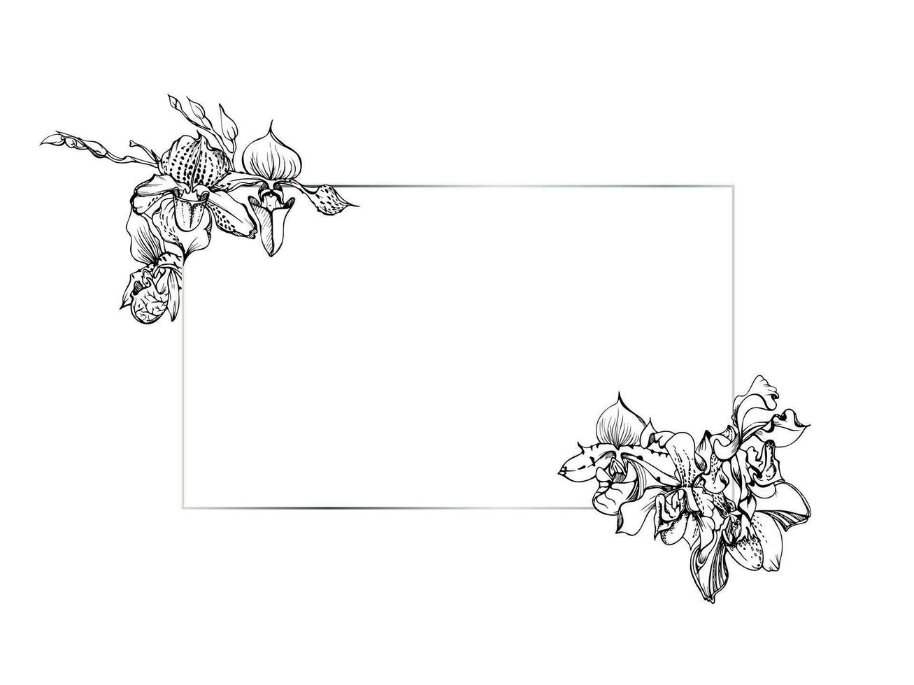 mano dibujado vector tinta orquídea flores y sucursales, monocromo, detallado describir. horizontal marco composición. aislado en blanco antecedentes. diseño para pared arte, boda, imprimir, tatuaje, cubrir, tarjeta.