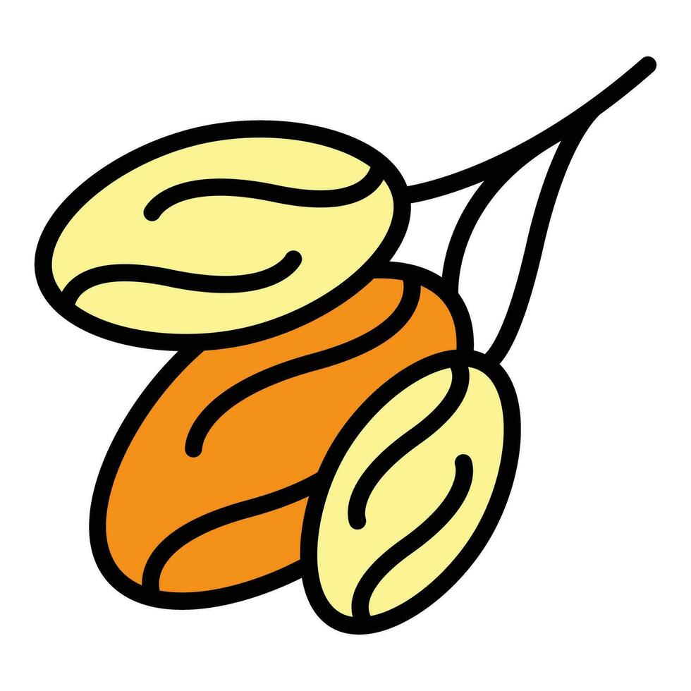 Date fruit branch icon vector flat