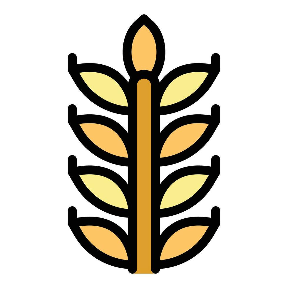 Wheat plant icon vector flat