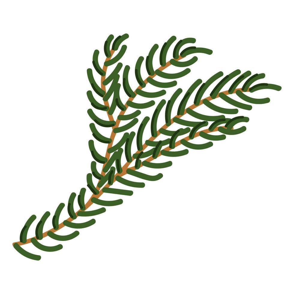 Fir Branch Illustration vector