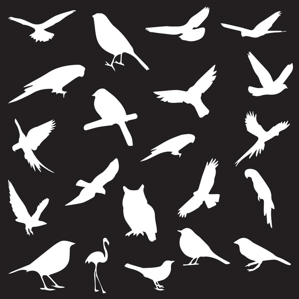 Beautiful birds sitting and flying in different positions. Wild swallows bird flying, silhouettes on a white background. Swallows full body silhouette collection. Wild swallows bird silhouette bundle. vector