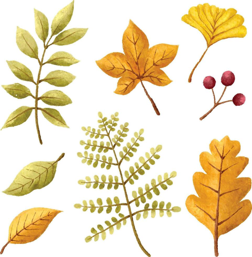 Vector autumn leaves clipart for autumn theme decoration