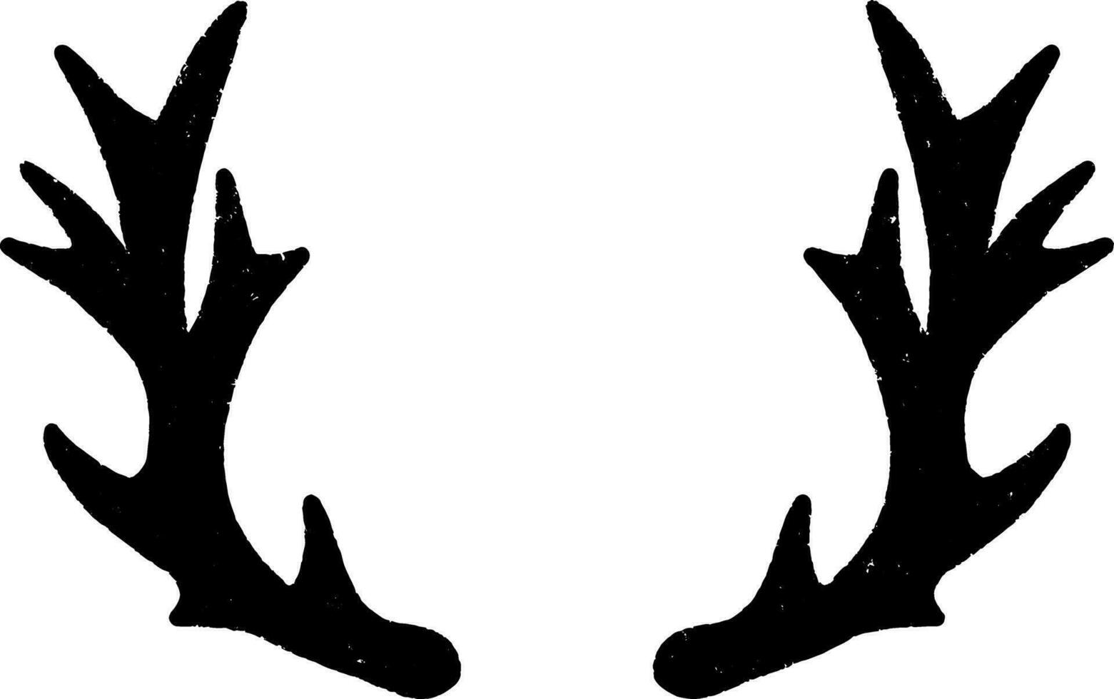deer antlers clip art vector