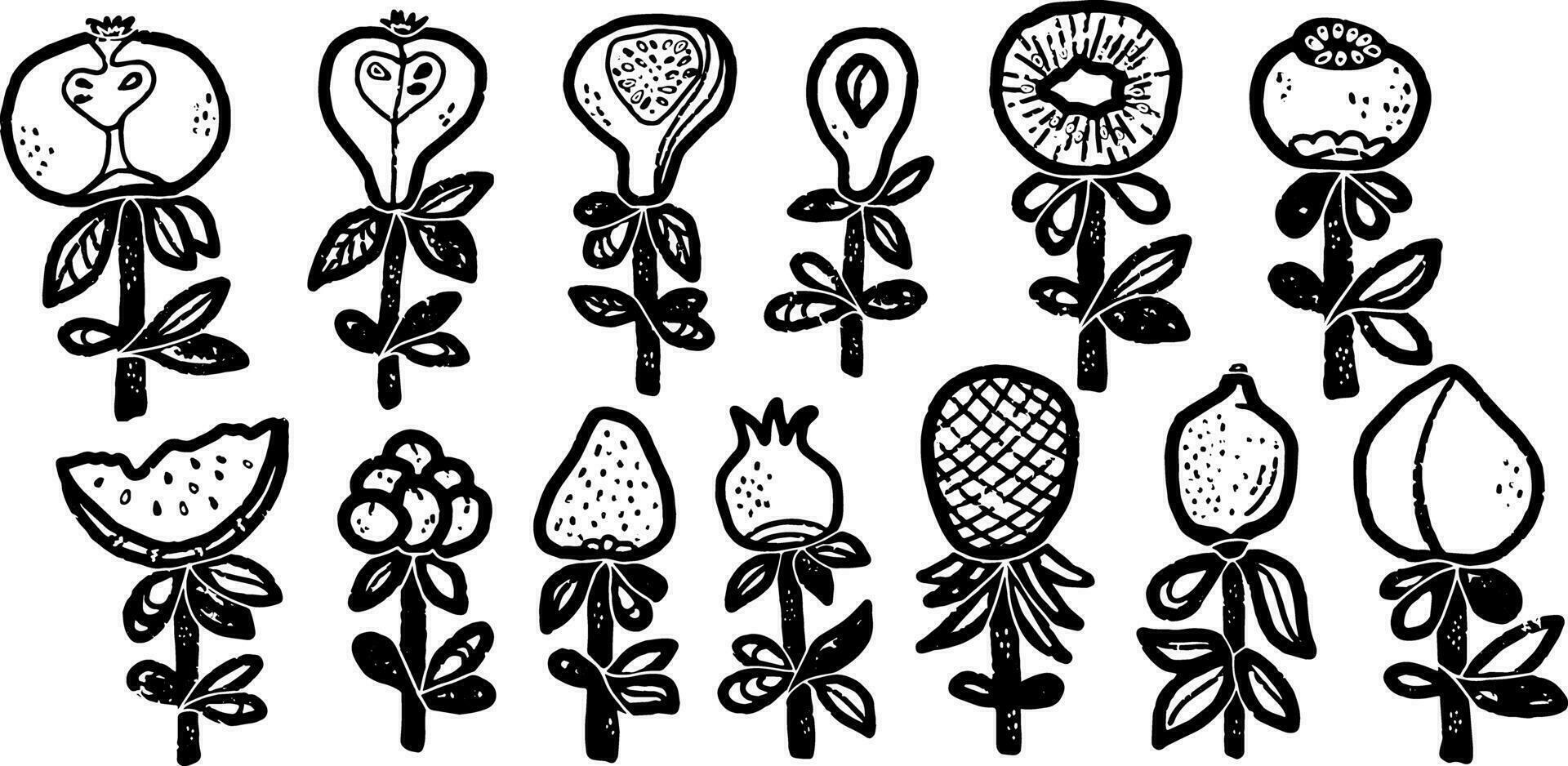 Stylized fruits and berries on stems in doodle style. Graphic arts. Vector element for design, set, collection.