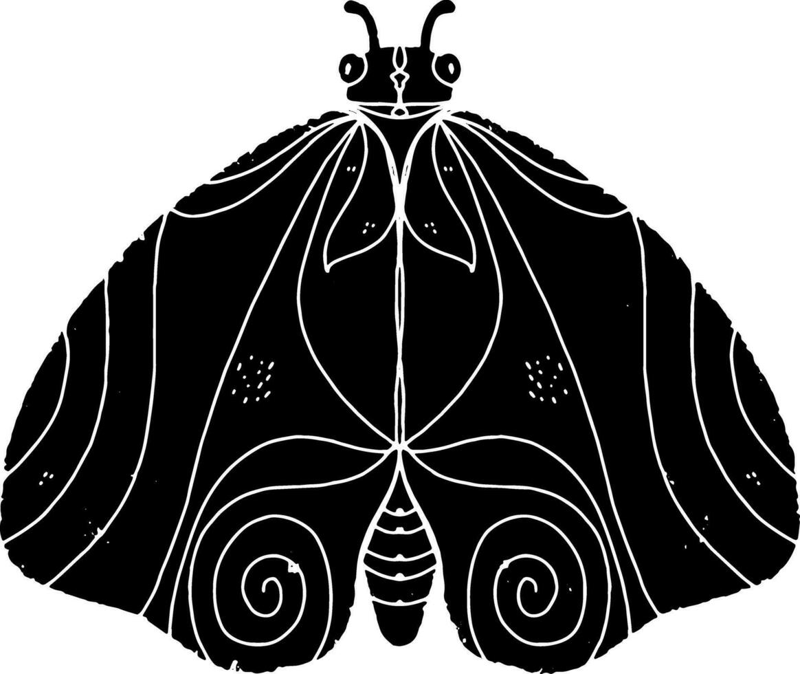 a black and white drawing of a moth vector