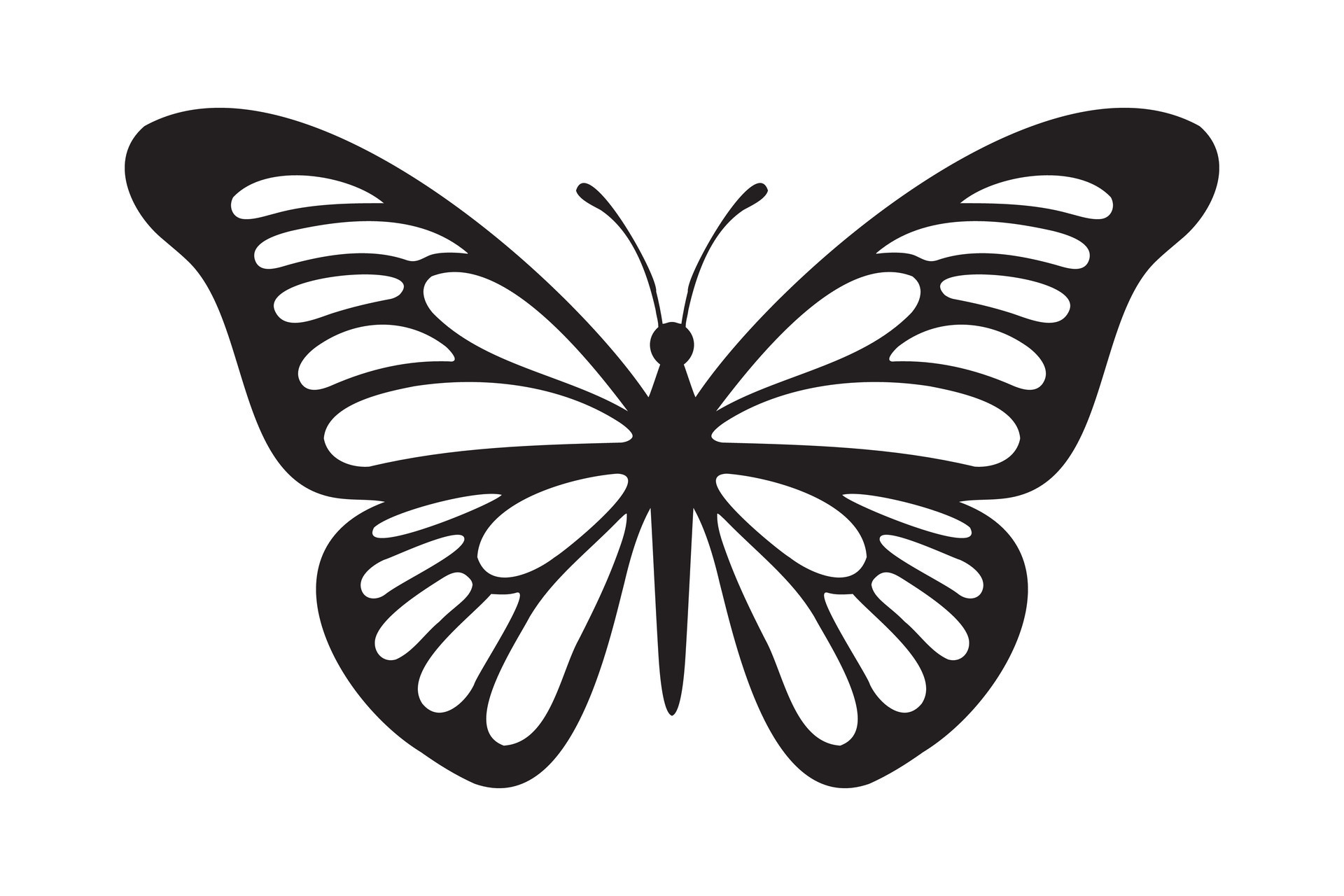 Butterfly tattoo silhouette design, Graphic black icon of butterfly