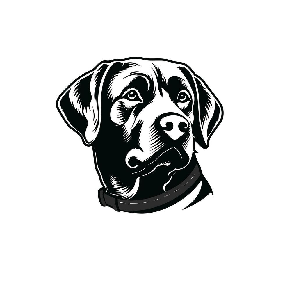 Labrador perdiguero. línea Arte. silueta. modelo. de cerca. acortar Arte. negro y blanco. vector