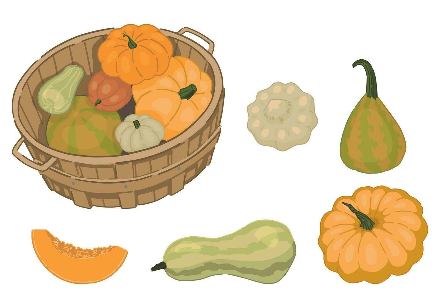 Cartoon clipart set of pumpkin vegetables. Doodles of autumn agricultural harvest. Vector illustrations collection isolated on white background.