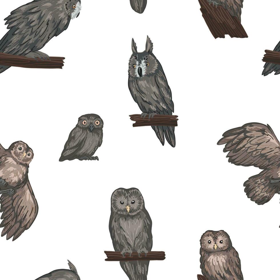 Owls birds seamless pattern. Abstract ornament of wild nocturnal animals. Vector illustration in cartoon style.