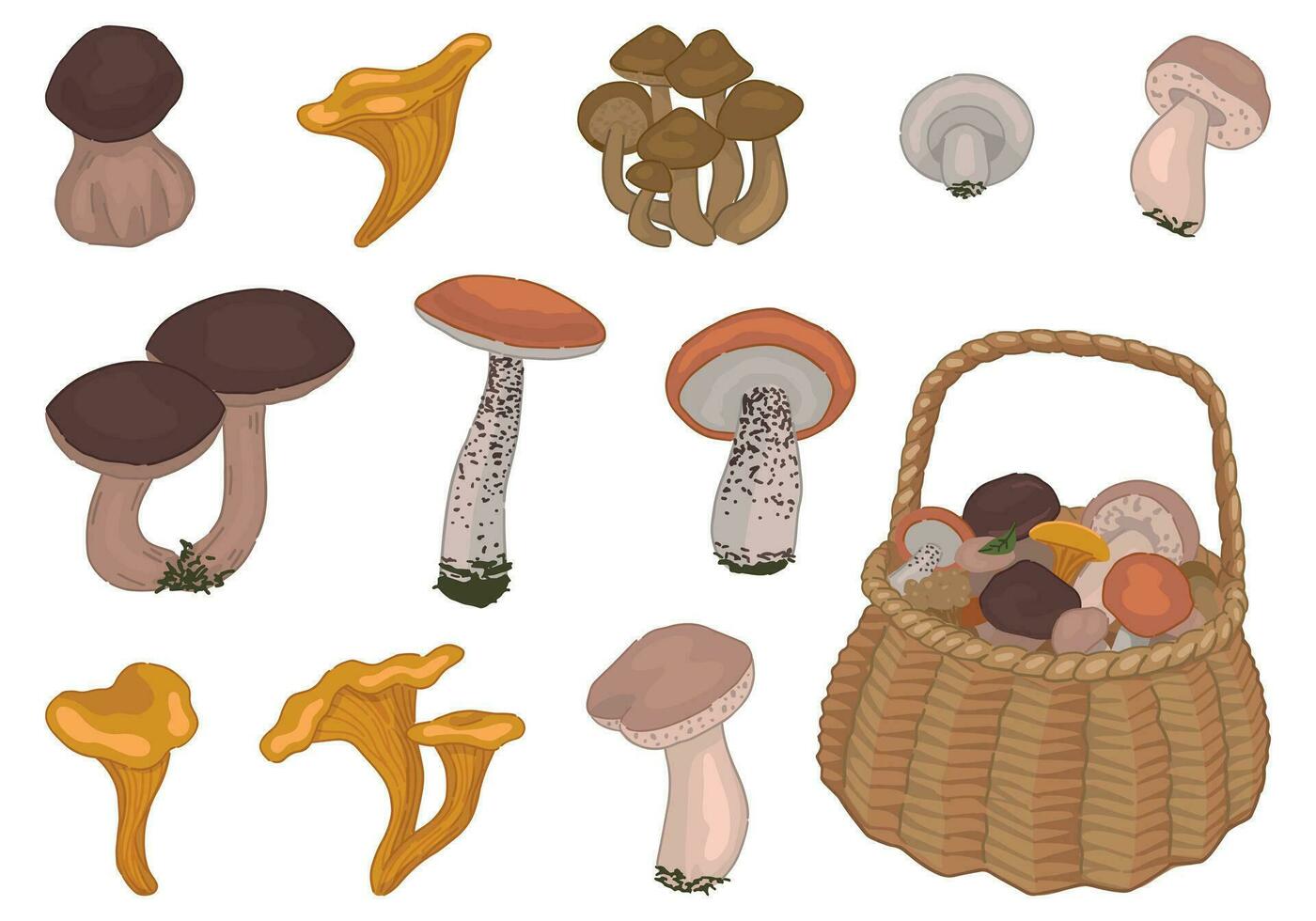 Clipart set of edible mushrooms. Doodles of autumn forest harvest. Cartoon vector illustrations collection isolated on white background.