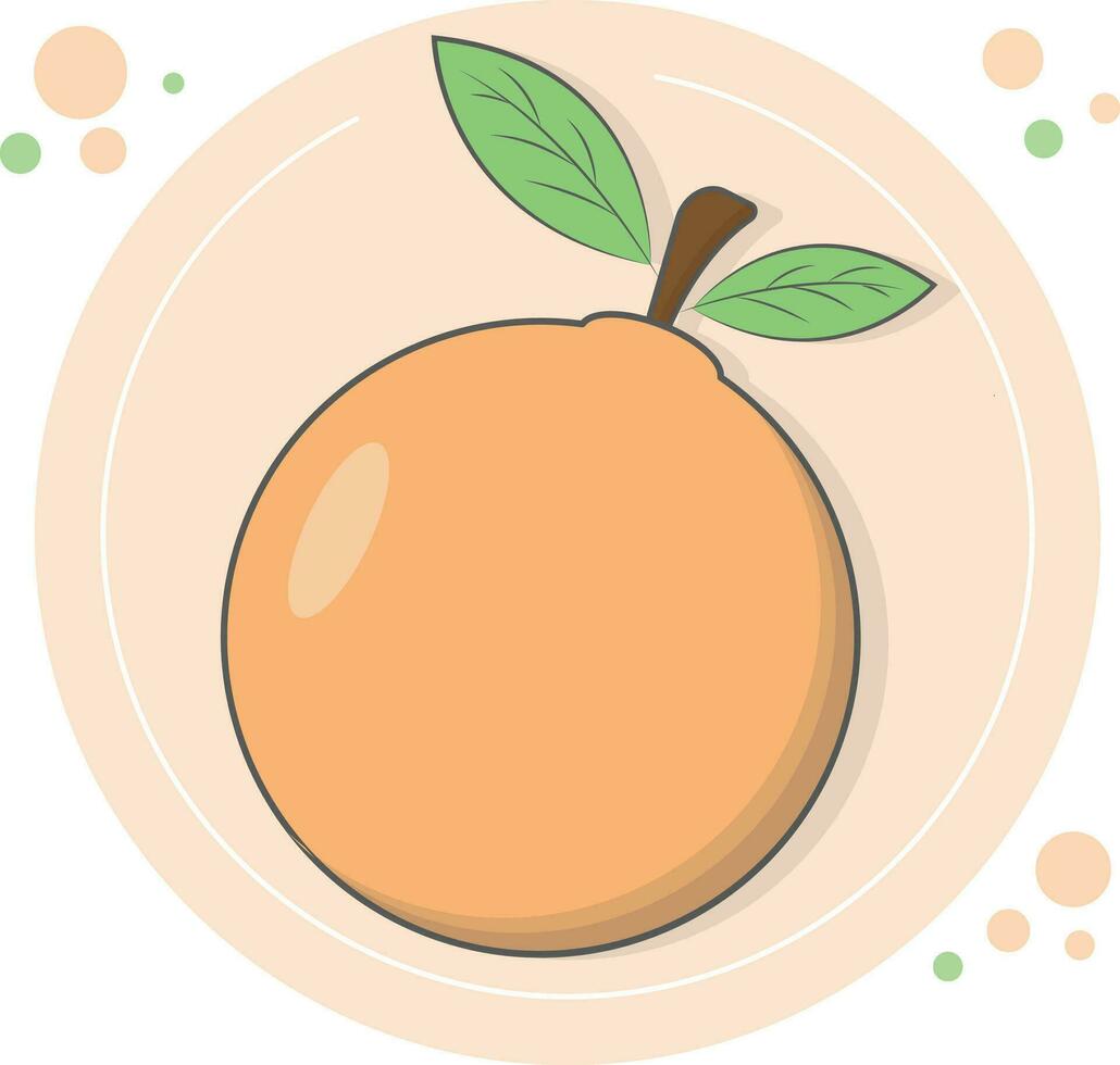 Orange vector in flat design