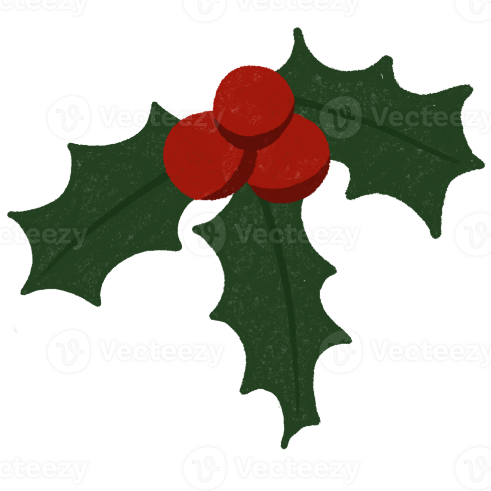 cute mistletoe illustration png