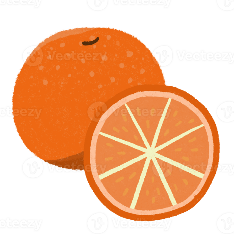 slice of orange illustration png