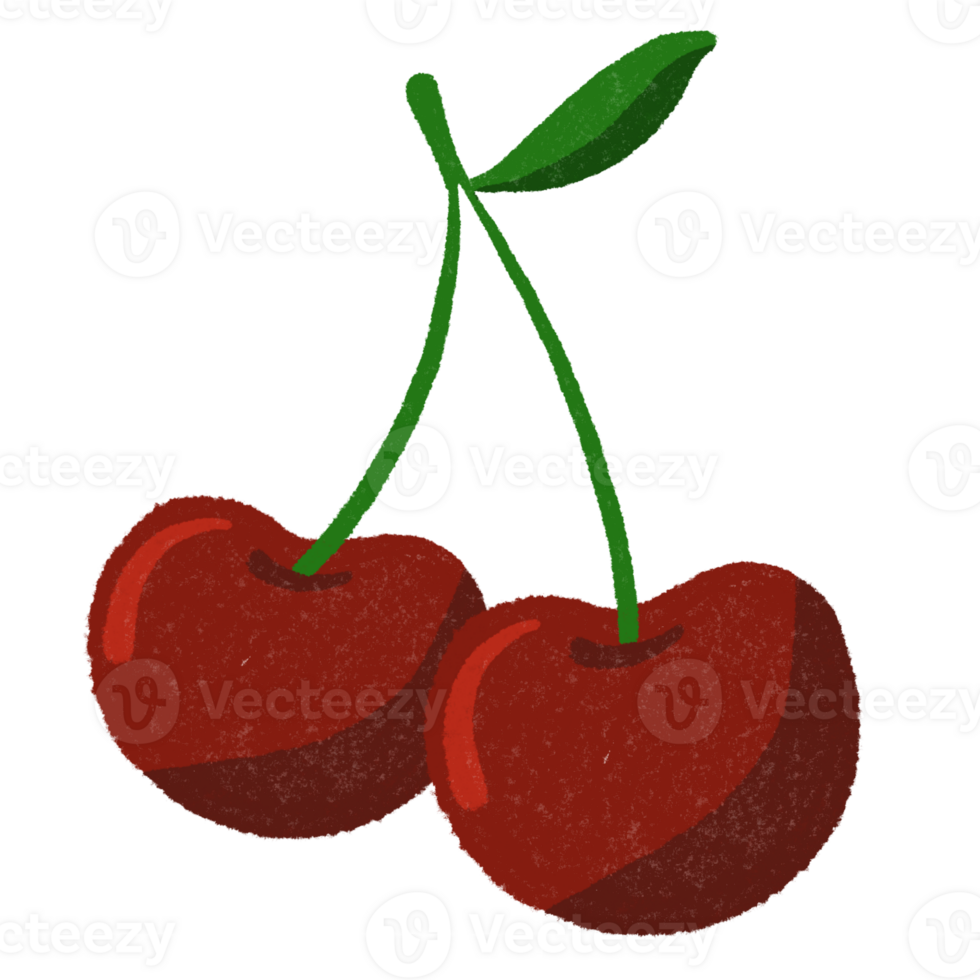 cute cherry illustration png