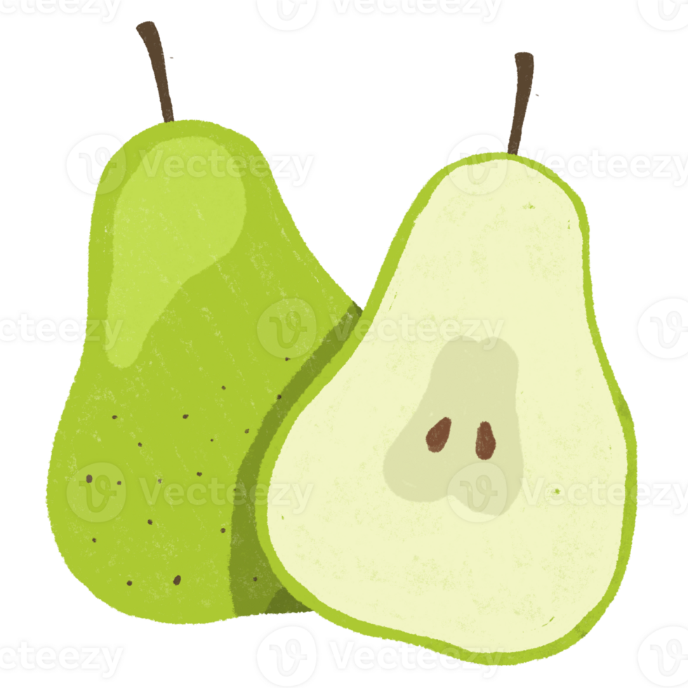 split pear illustration png