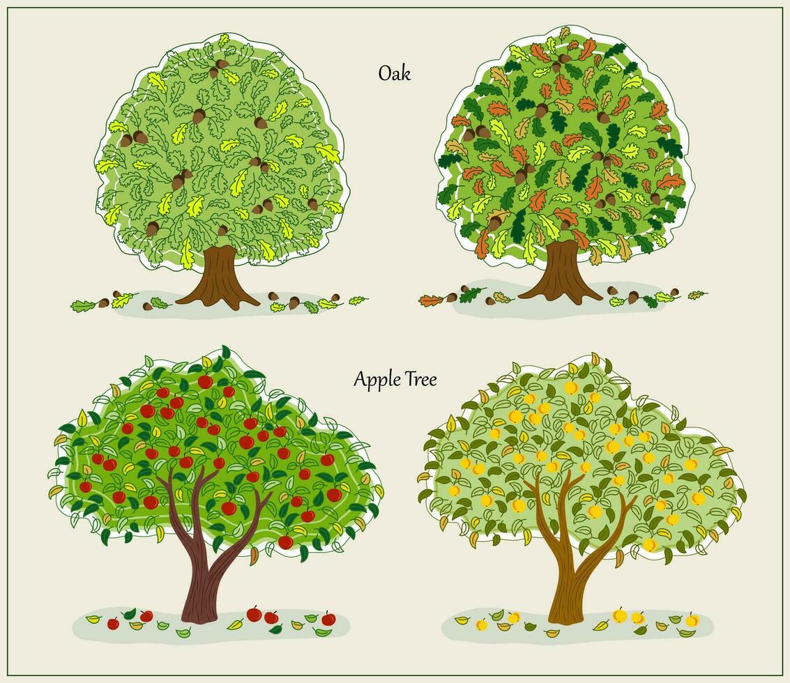 Set of autumn oak, apple trees vector