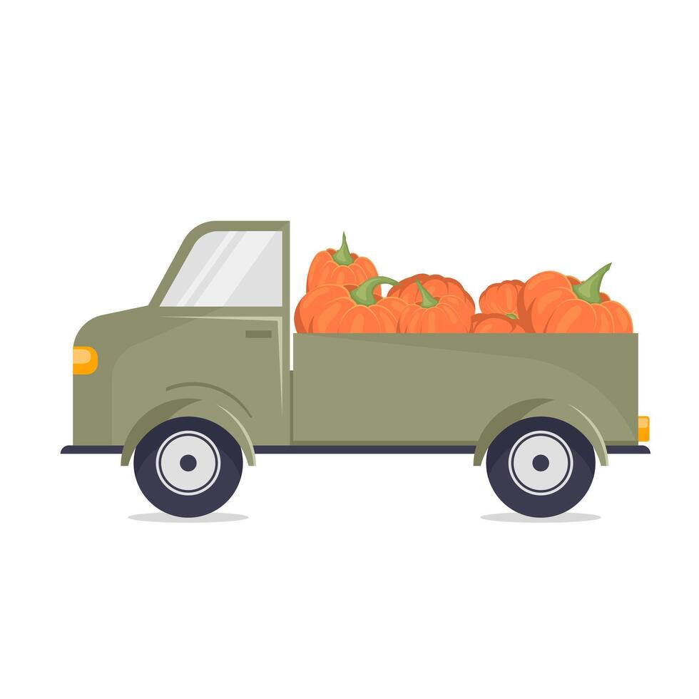 Truck with ripe orange pumpkins on a white background. Farm. Transportation. vector