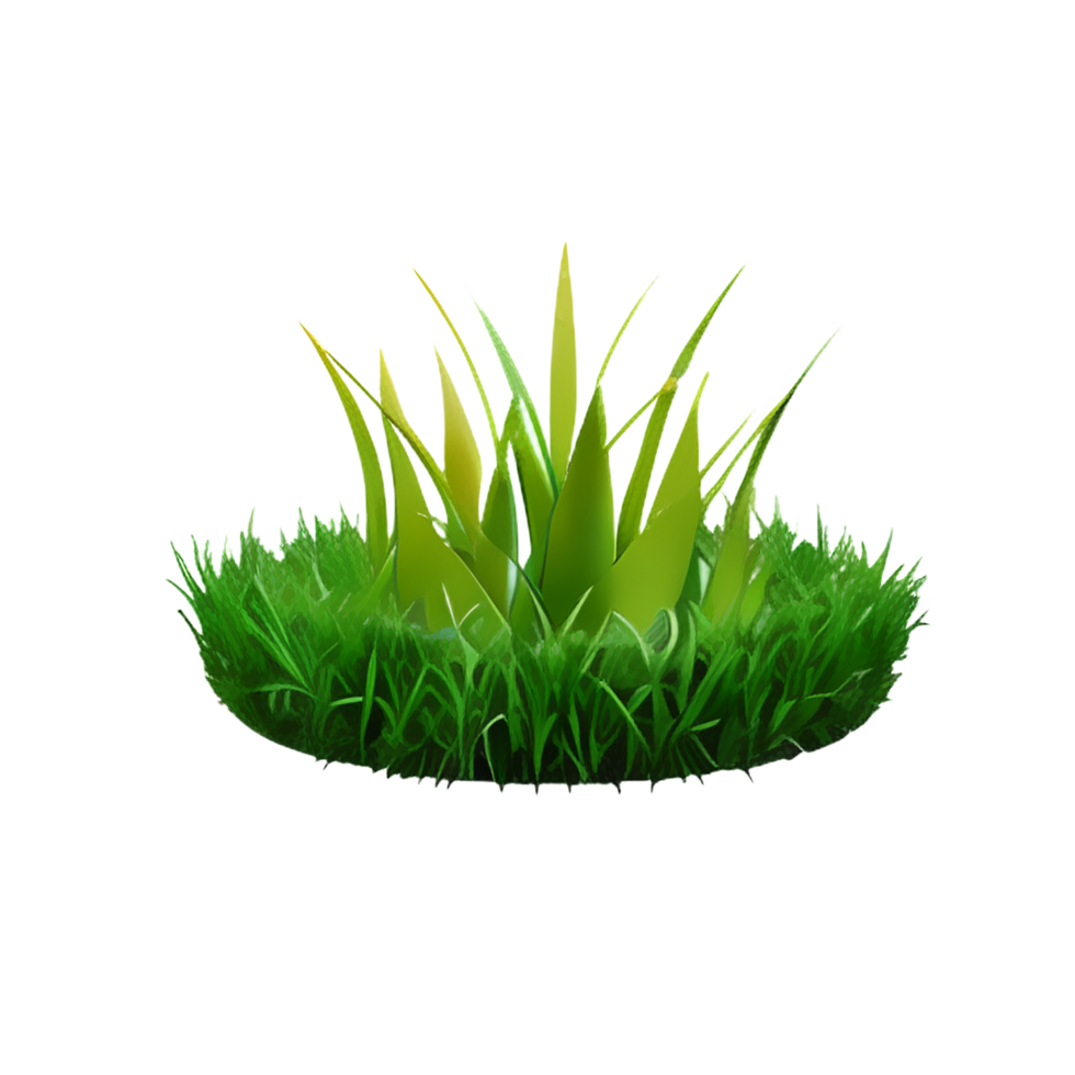 grass 3d icon illustration png