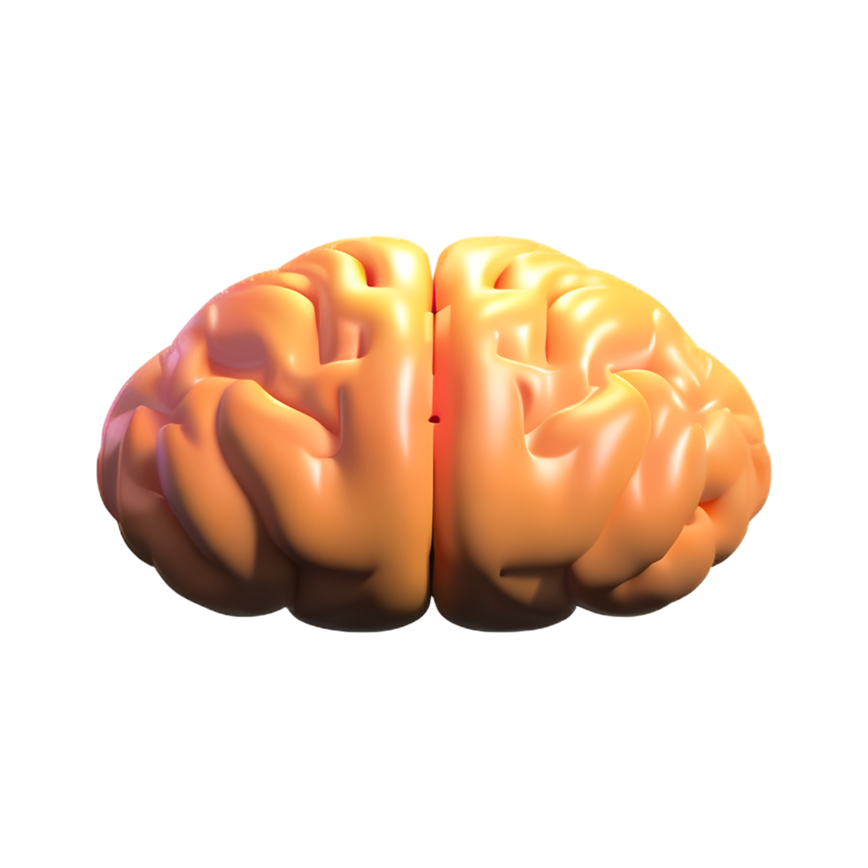 cerveau 3d icône illustration png