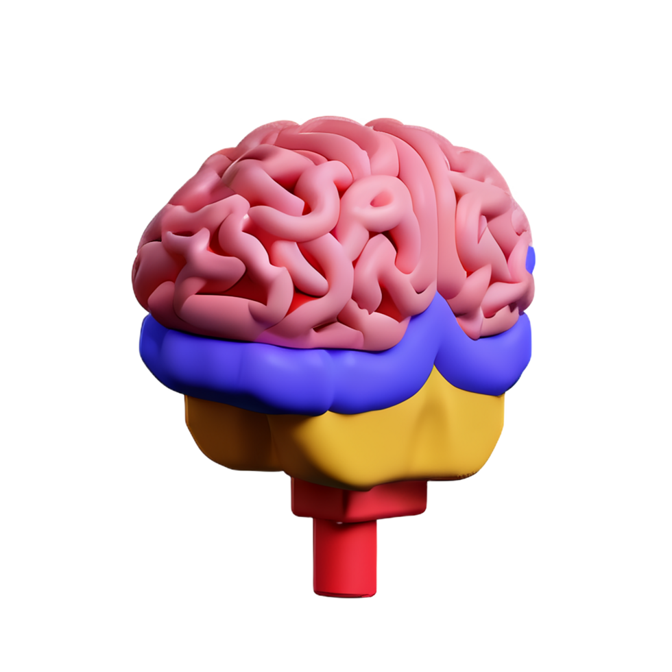 brain 3d icon illustration png