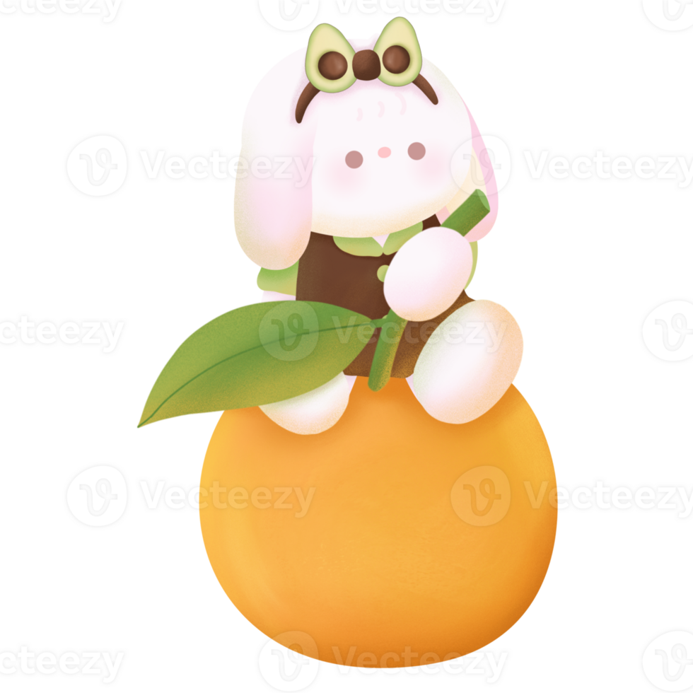 Bunny sitting on an orange png