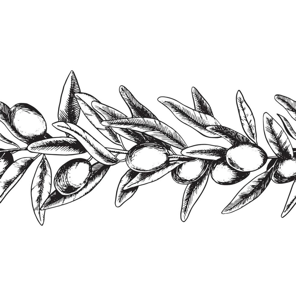 Olive branches, leaves and fruits. Seamless border of branches olive tree. Vector illustration in sketch style. For menu, packaging design, wedding invitation, save the date or greeting card.