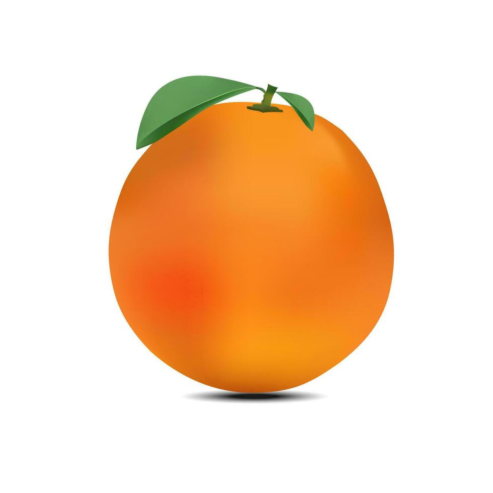 Orange, fruit vegetable vector illustration Modern realistic style, orange isolated on white background.