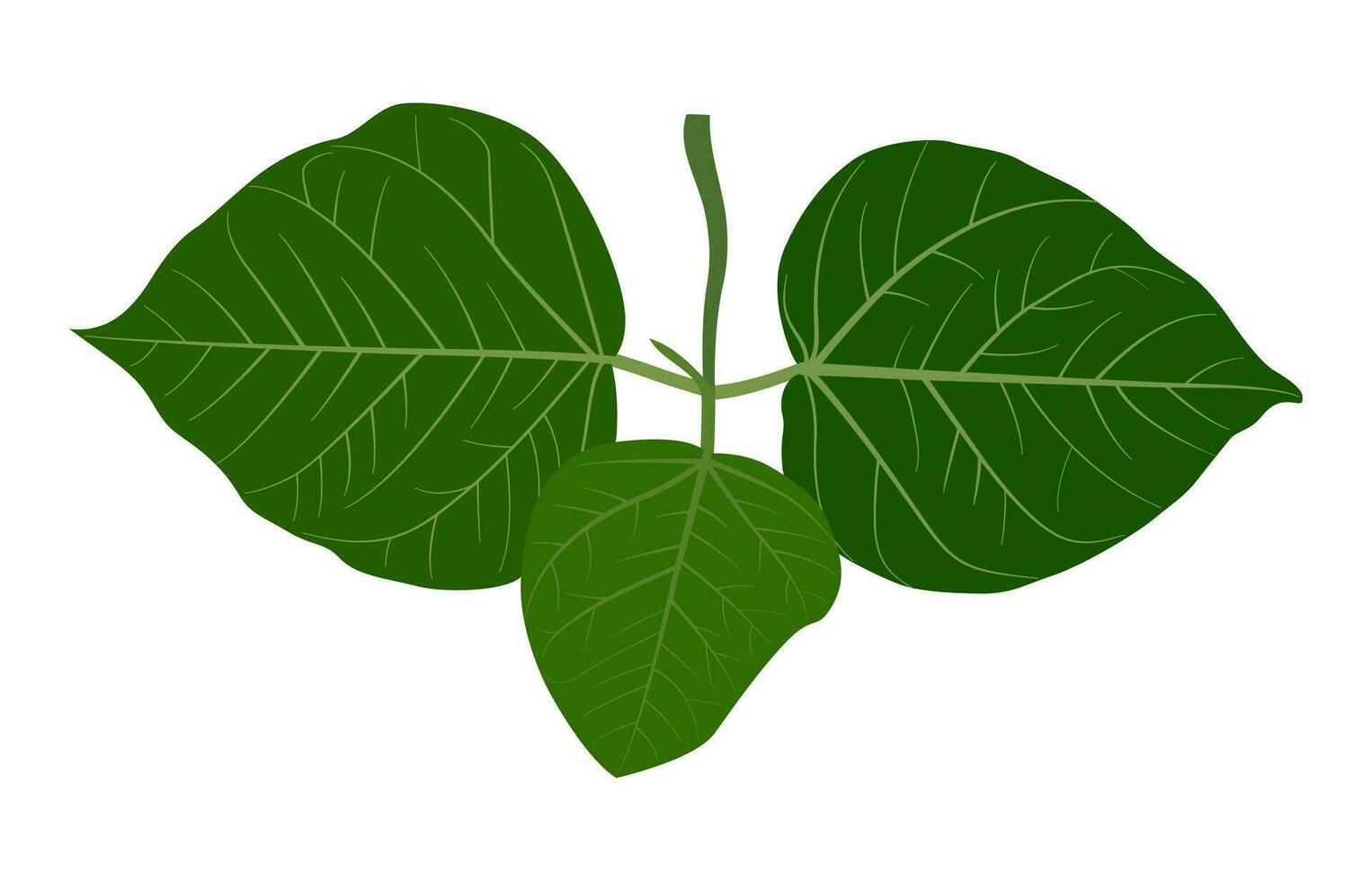 two silhouettes of plants with leaves, green leaf plant vector, eco