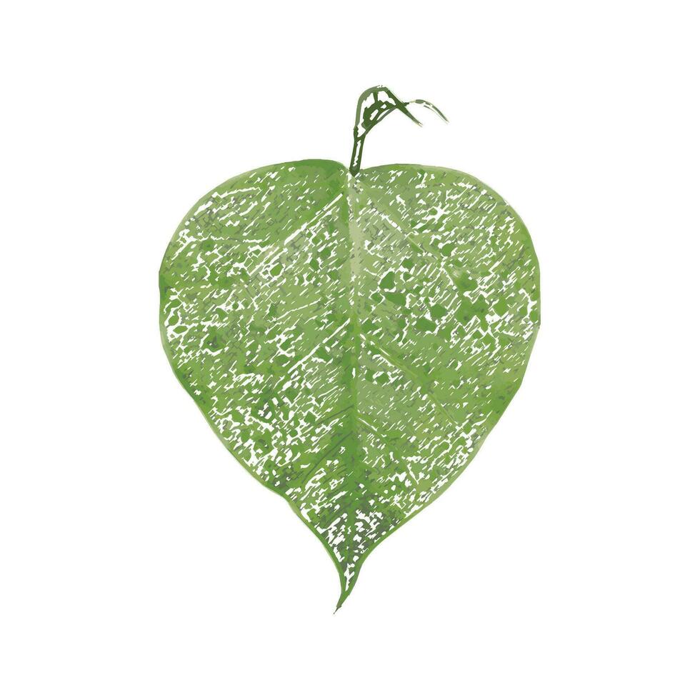 two silhouettes of plants with leaves, green leaf plant vector, eco, nature, tree branch, isolated, close up, background, natural, tree, fresh, garden, spring, summer, foliage, white, design, flora, vector