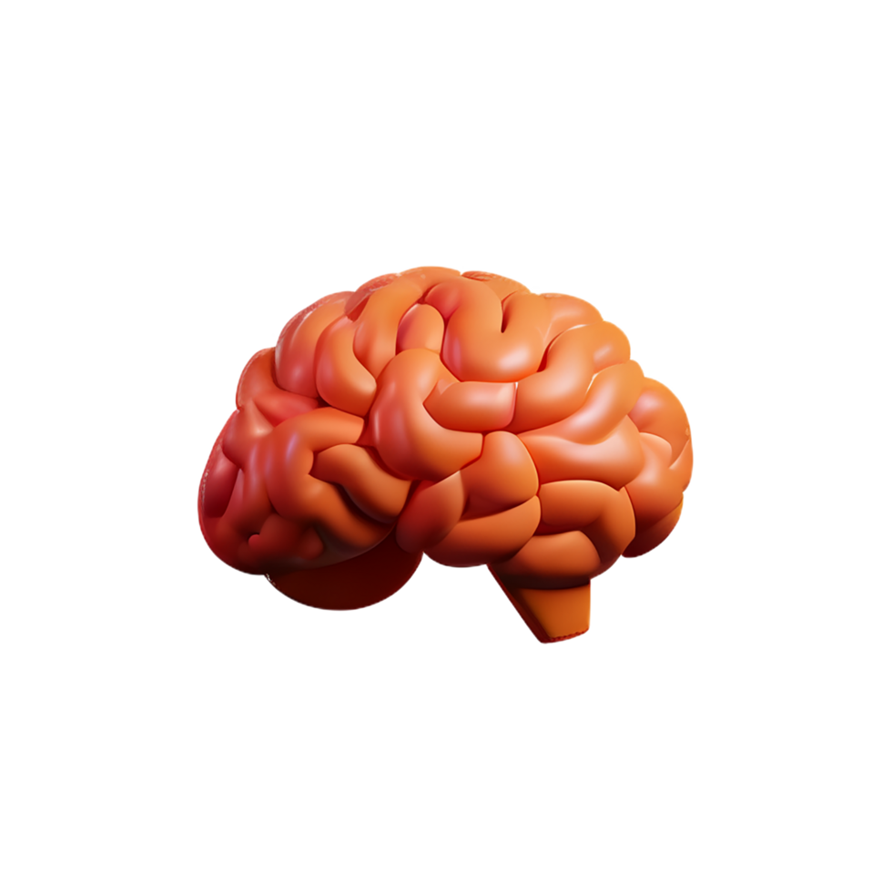 brain 3d icon illustration png