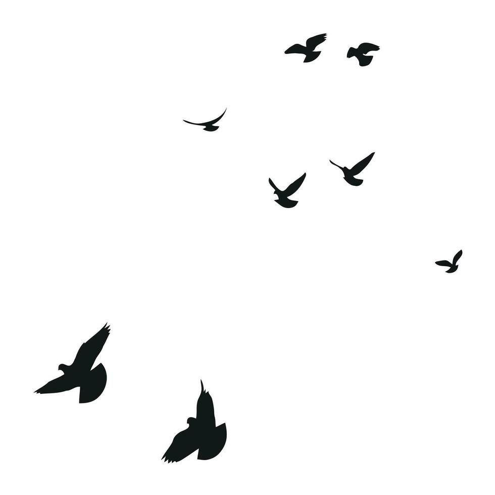 Silhouette sketch of a flock of flying birds, flight in different positions. Hover, soaring, landing, flying, flutter vector