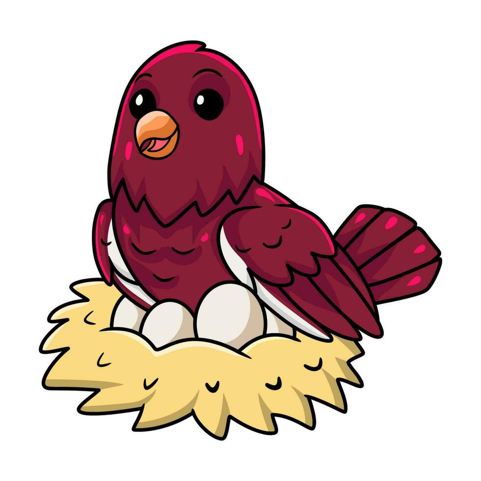 Cute pompadour cotinga bird cartoon with eggs in the nest vector