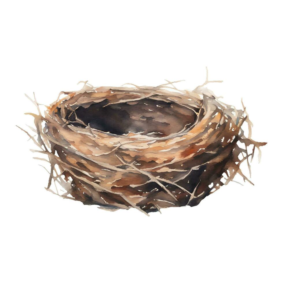 Bird Nest Isolated Hand Drawn Watercolor Painting Illustration vector