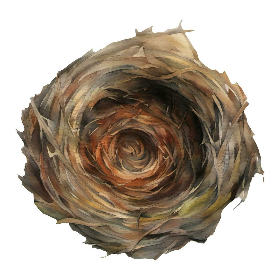 Bird Nest Top View Isolated Hand Drawn Watercolor Painting Illustration vector