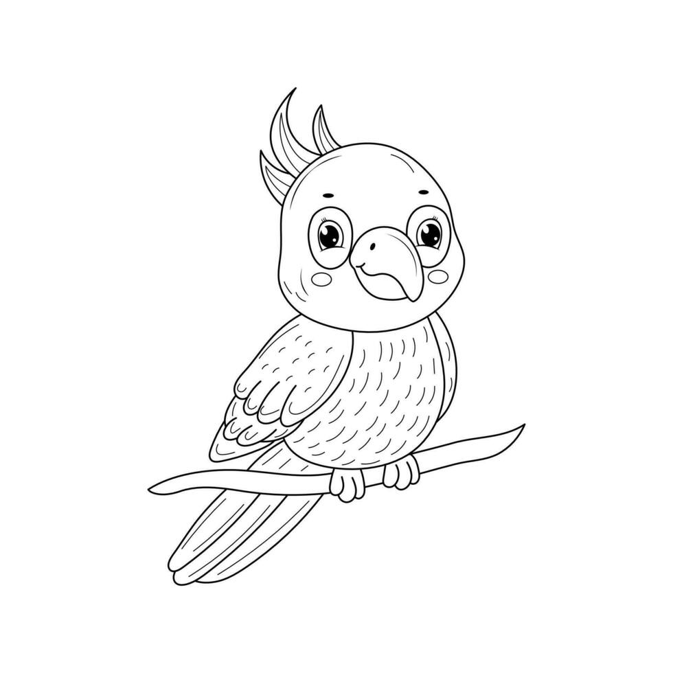vector hand drawn owl outline illustration