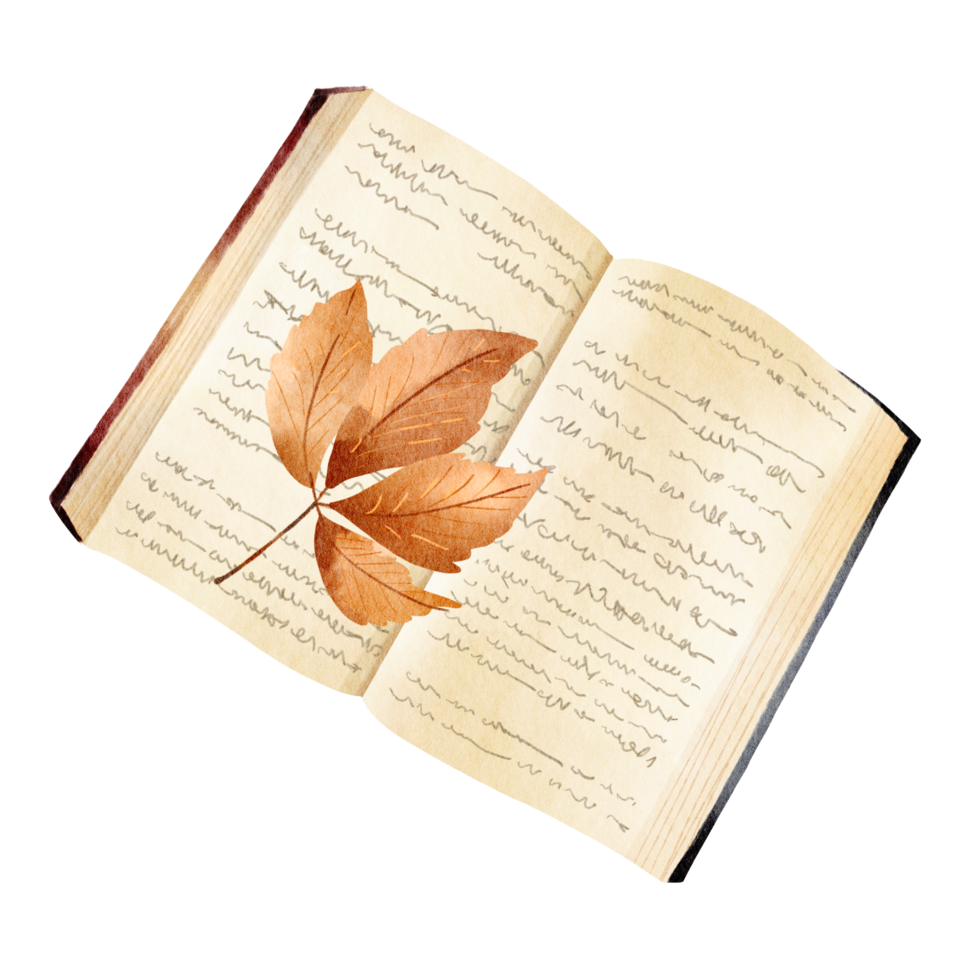 acquerello libro con autunno le foglie png