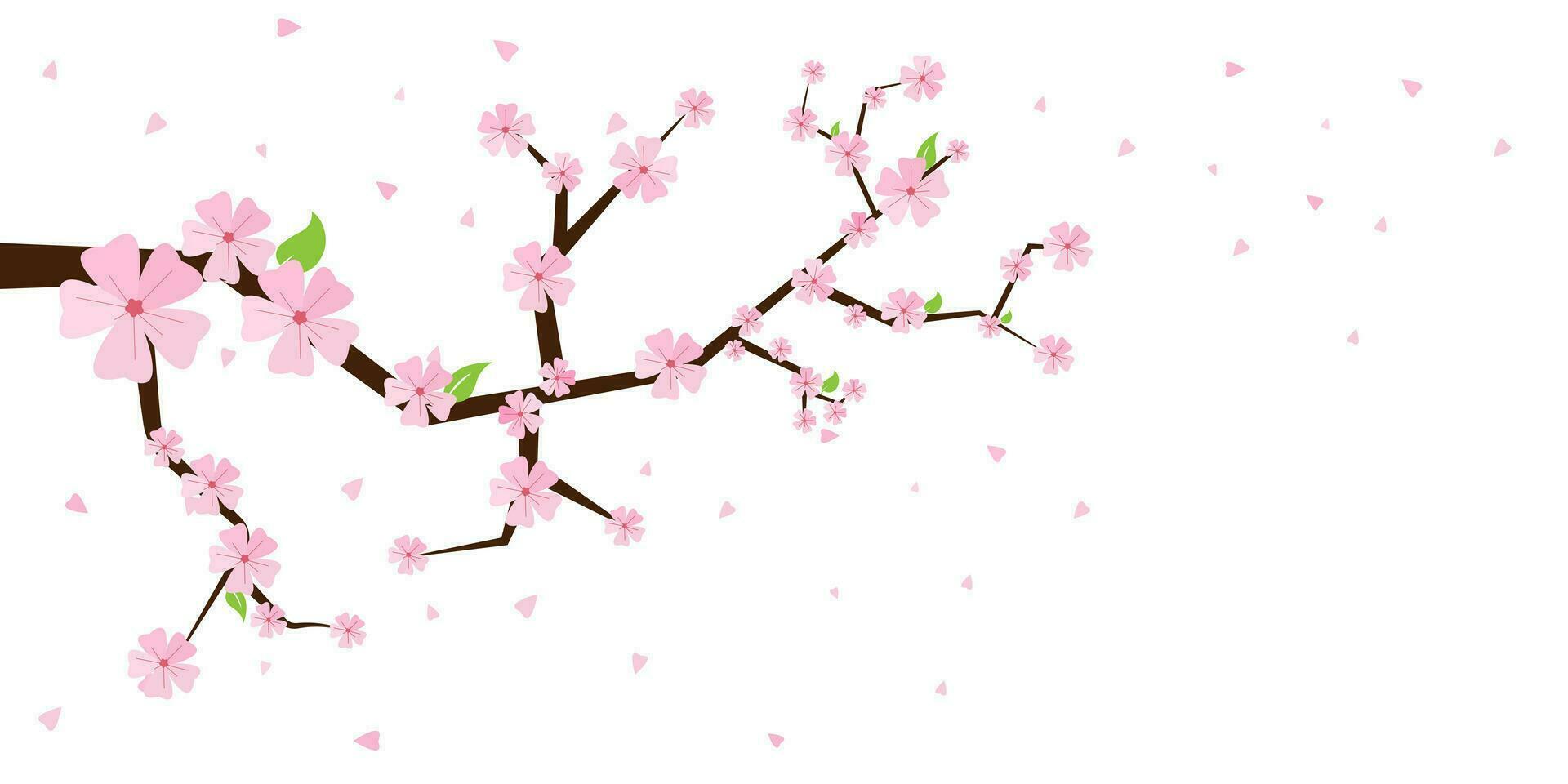 sakura flores Cereza árbol florecer. primavera jardín flores aislado blanco antecedentes. vector