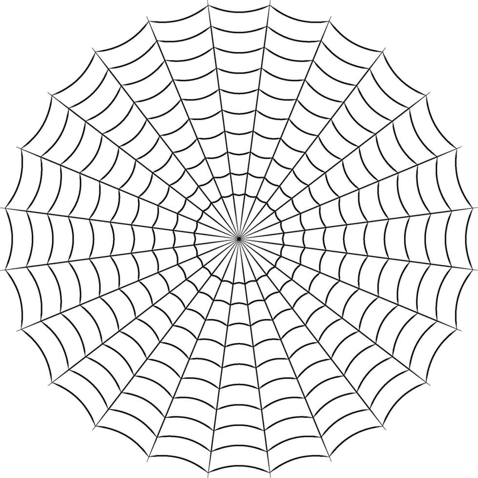 Round spider cobweb simple linear stock illustration vector