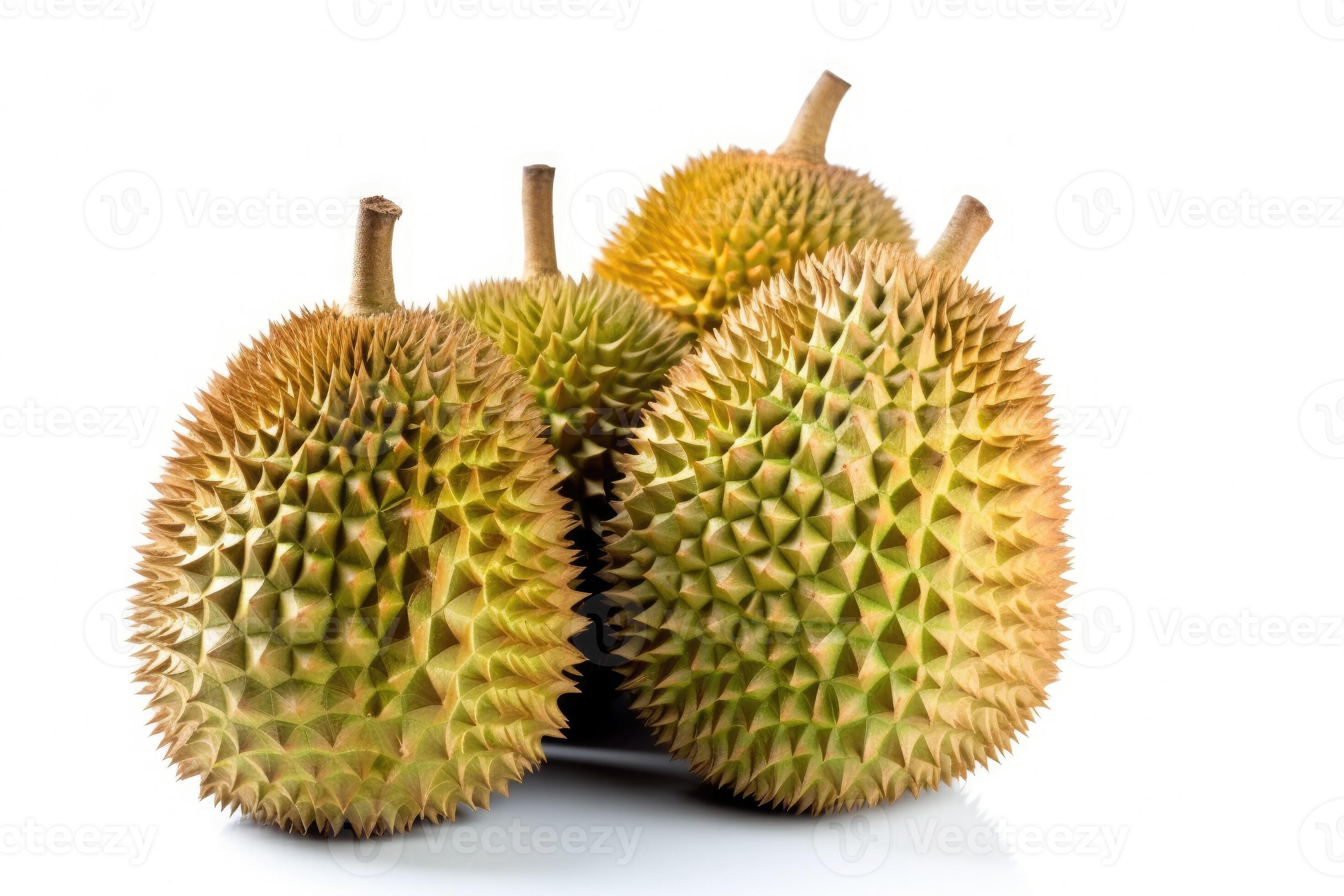 Collections of durian fruits isolated on white background. fruit king