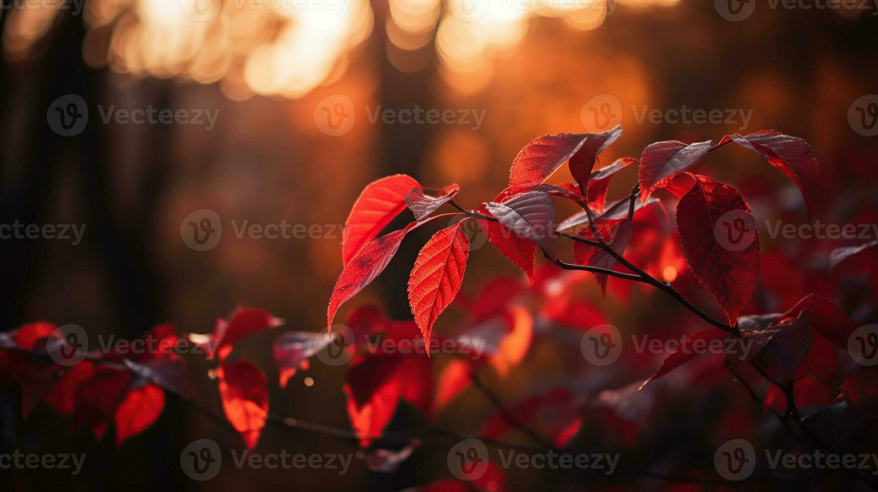 Red Leaves At Sunset With Defocused Lights - Abstract Autumn Background, generative ai photo